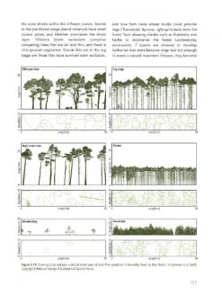 Abernethy Forest 21 Abernethy Forest -Wildlife Professional Books 242040 07