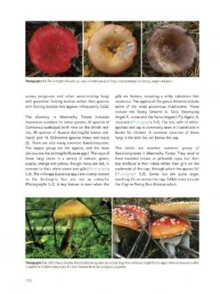 Abernethy Forest 23 Abernethy Forest -Wildlife Professional Books 242040 09