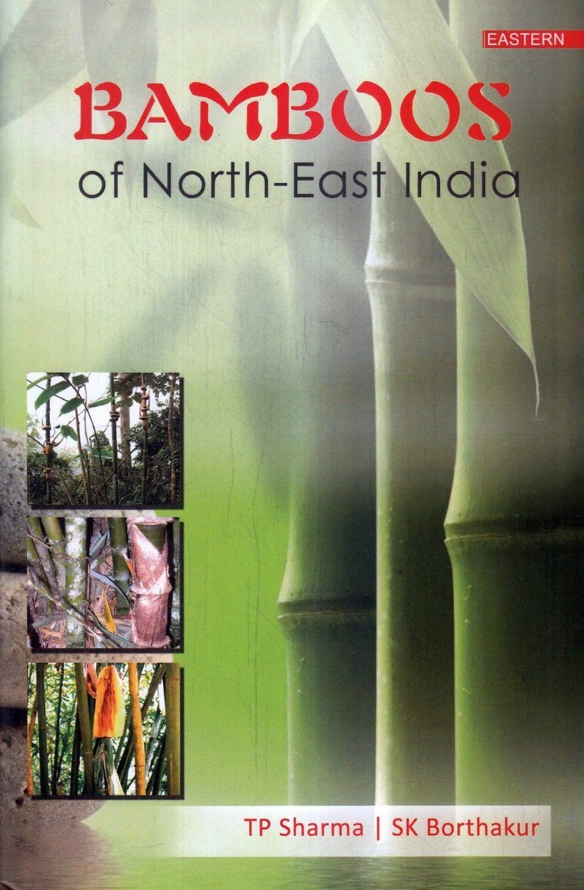 Bamboos Of North-East India 3 Bamboos Of North-East India