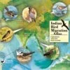 Indian Bird Migration Atlas 2 Indian Bird Migration Atlas -Wildlife Professional Books 242127