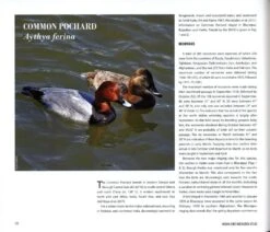 Indian Bird Migration Atlas 11 Indian Bird Migration Atlas -Wildlife Professional Books 242127 1