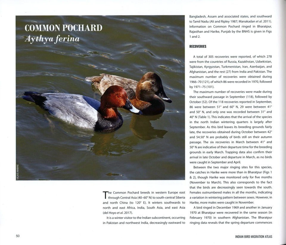 Indian Bird Migration Atlas 4 Indian Bird Migration Atlas - Image 2