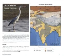 Indian Bird Migration Atlas 15 Indian Bird Migration Atlas -Wildlife Professional Books 242127 5