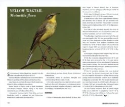 Indian Bird Migration Atlas 16 Indian Bird Migration Atlas -Wildlife Professional Books 242127 6