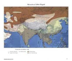Indian Bird Migration Atlas 17 Indian Bird Migration Atlas -Wildlife Professional Books 242127 7