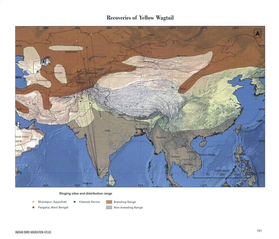Indian Bird Migration Atlas 10 Indian Bird Migration Atlas - Image 8