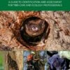 Bat Roosts In Trees 1 Bat Roosts In Trees -Wildlife Professional Books 242460