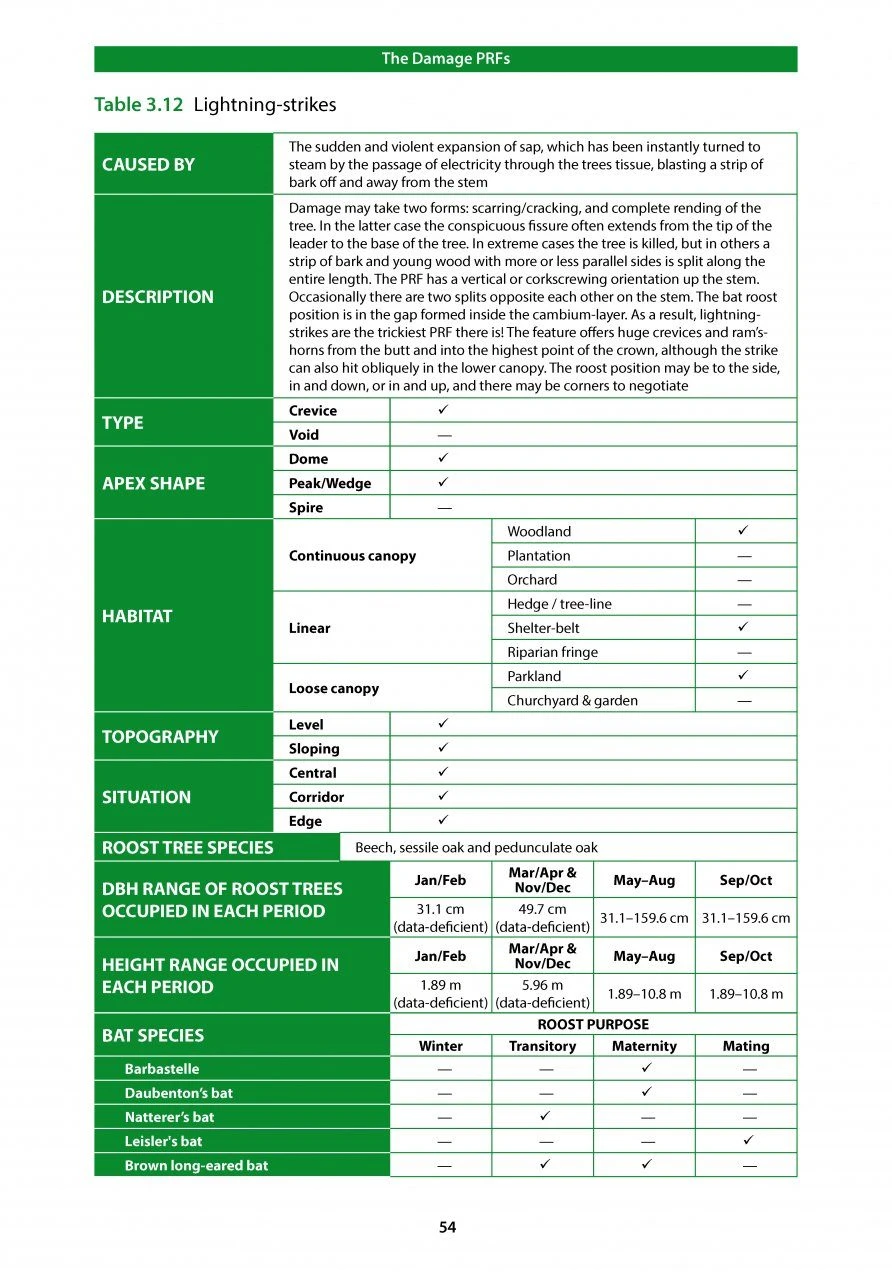 Bat Roosts In Trees 6 Bat Roosts In Trees - Image 4