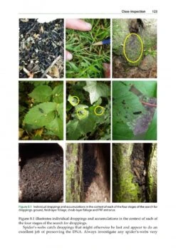 Bat Roosts In Trees 16 Bat Roosts In Trees -Wildlife Professional Books 242460 5