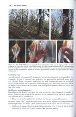 Bat Roosts In Trees 18 Bat Roosts In Trees -Wildlife Professional Books 242460 7