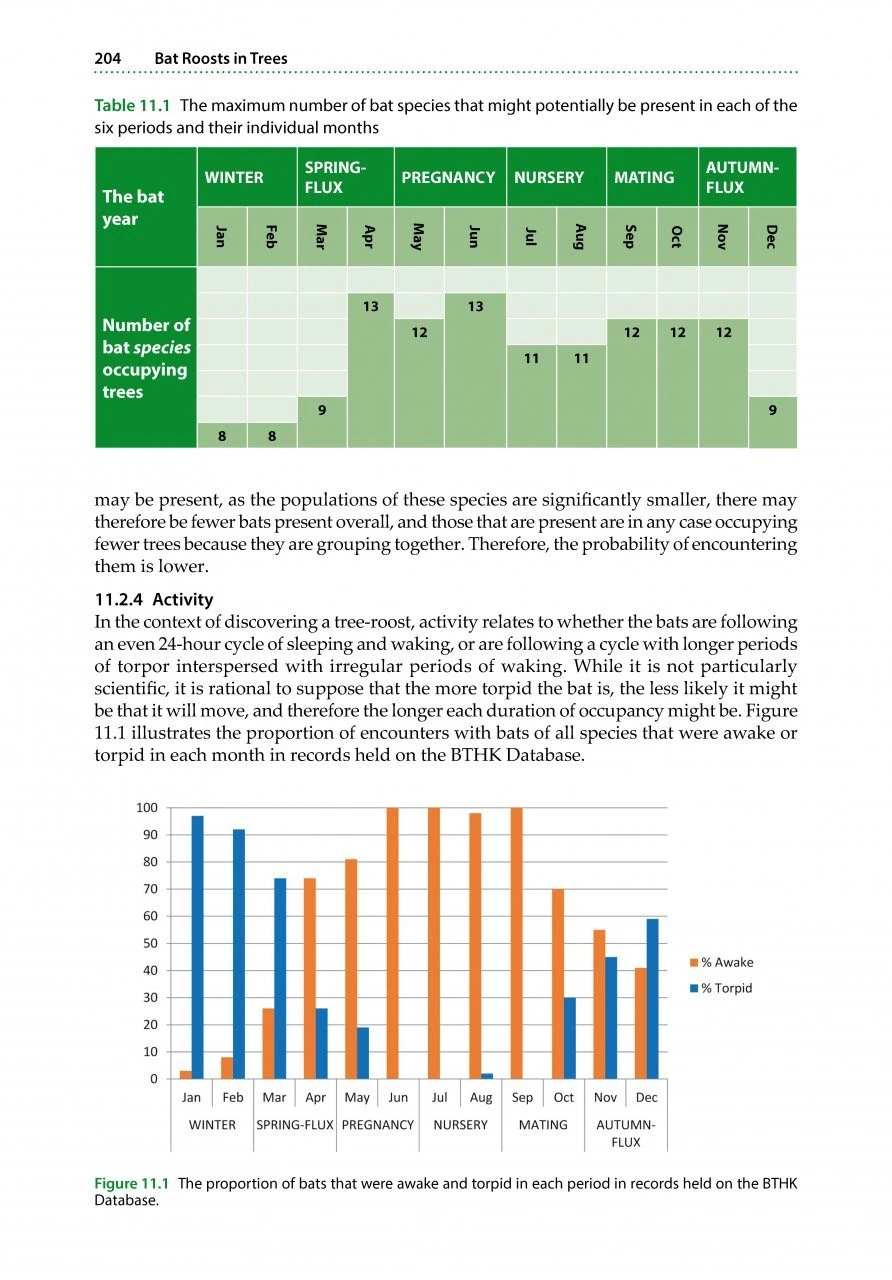Bat Roosts In Trees 11 Bat Roosts In Trees - Image 9