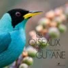 Les Oiseaux De Guyane [The Birds Of French Guiana] -Wildlife Professional Books 242633
