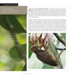 Les Oiseaux De Guyane [The Birds Of French Guiana] -Wildlife Professional Books 242633 2