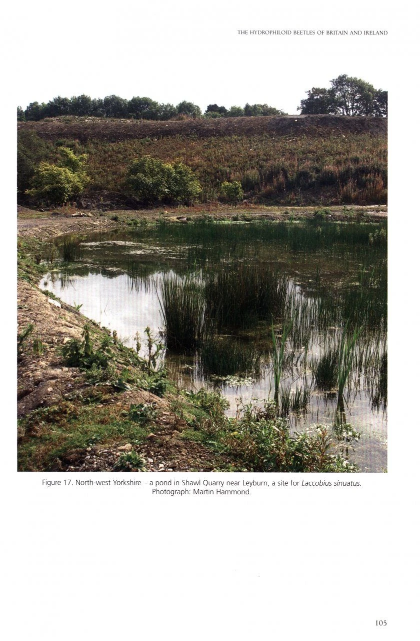 Atlas Of The Hydrophiloid Beetles Of Britain And Ireland 5 Atlas Of The Hydrophiloid Beetles Of Britain And Ireland - Image 3