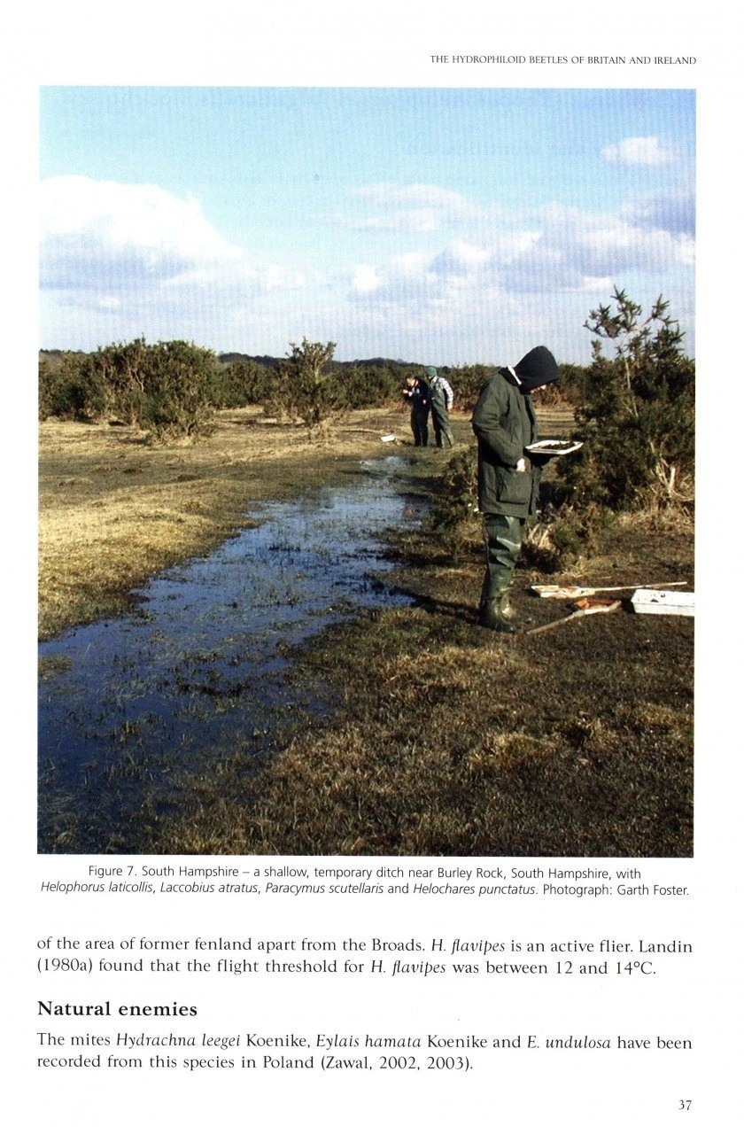 Atlas Of The Hydrophiloid Beetles Of Britain And Ireland 6 Atlas Of The Hydrophiloid Beetles Of Britain And Ireland - Image 4