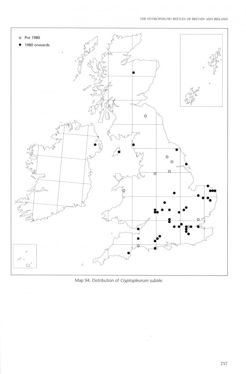 Atlas Of The Hydrophiloid Beetles Of Britain And Ireland 8 Atlas Of The Hydrophiloid Beetles Of Britain And Ireland - Image 6