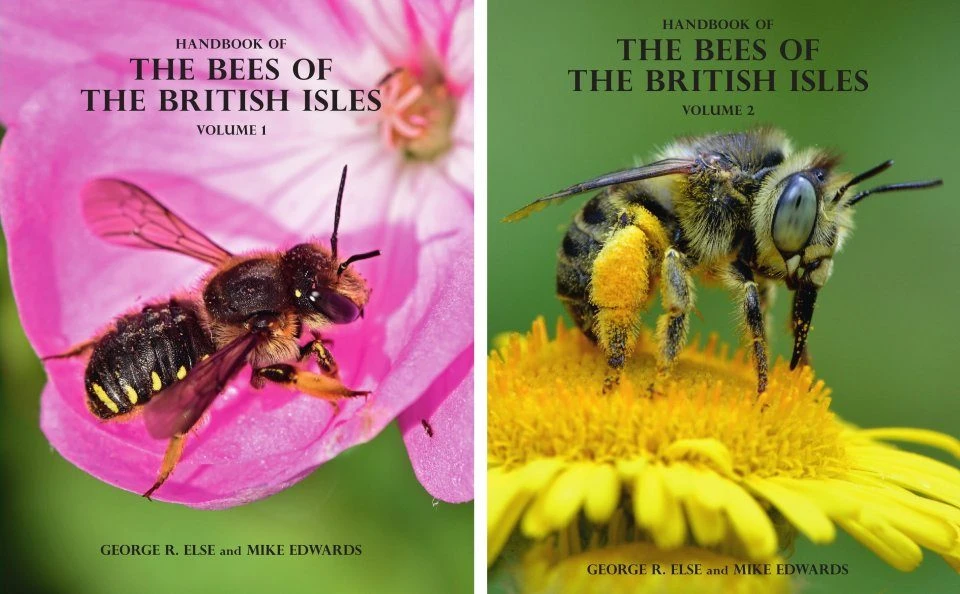 Handbook Of The Bees Of The British Isles (2-Volume Set) 3 Handbook Of The Bees Of The British Isles (2-Volume Set)