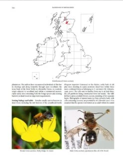 Handbook Of The Bees Of The British Isles (2-Volume Set) 17 Handbook Of The Bees Of The British Isles (2-Volume Set) -Wildlife Professional Books 243397 6