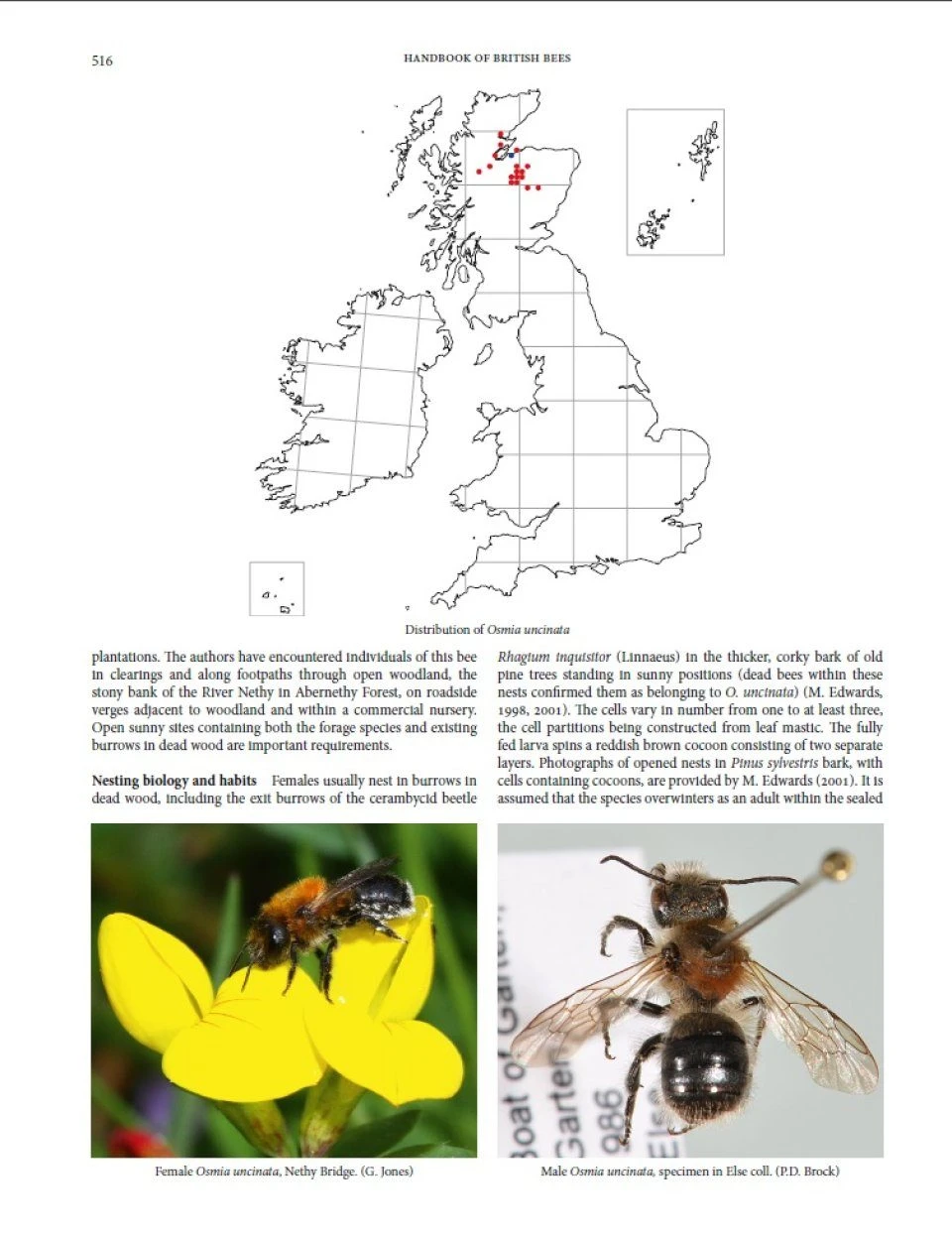 Handbook Of The Bees Of The British Isles (2-Volume Set) 9 Handbook Of The Bees Of The British Isles (2-Volume Set) - Image 7