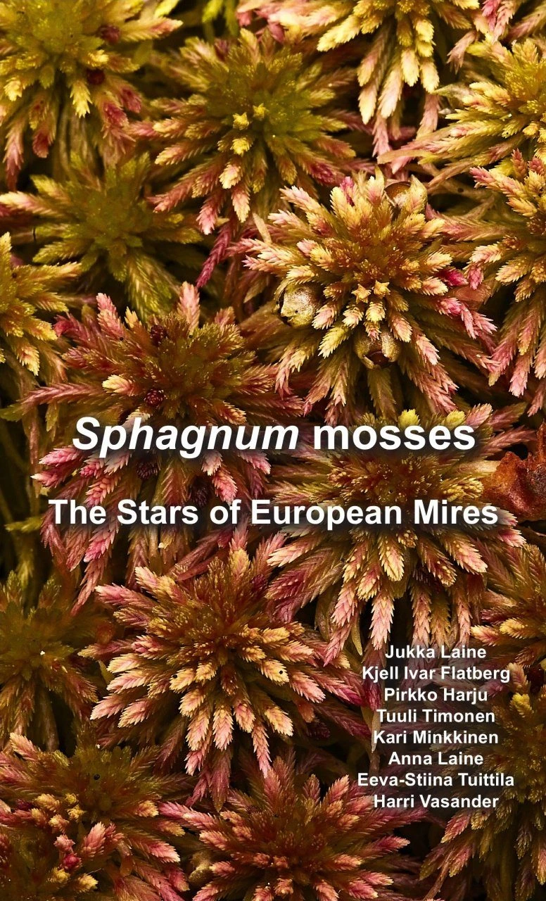 Sphagnum Mosses 3 Sphagnum Mosses