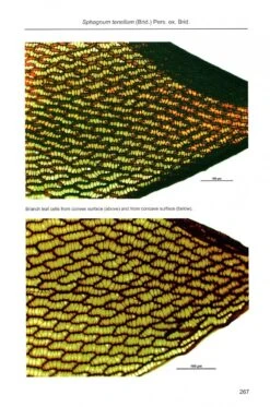 Sphagnum Mosses 12 Sphagnum Mosses -Wildlife Professional Books 243786 4