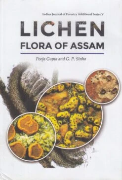 Lichen Flora Of Assam