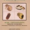 Fauna Of India: Acari: Cryptostigmata 1 Fauna Of India: Acari: Cryptostigmata -Wildlife Professional Books 244790