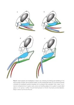 The Solitary Bees 18 The Solitary Bees -Wildlife Professional Books 244919 03