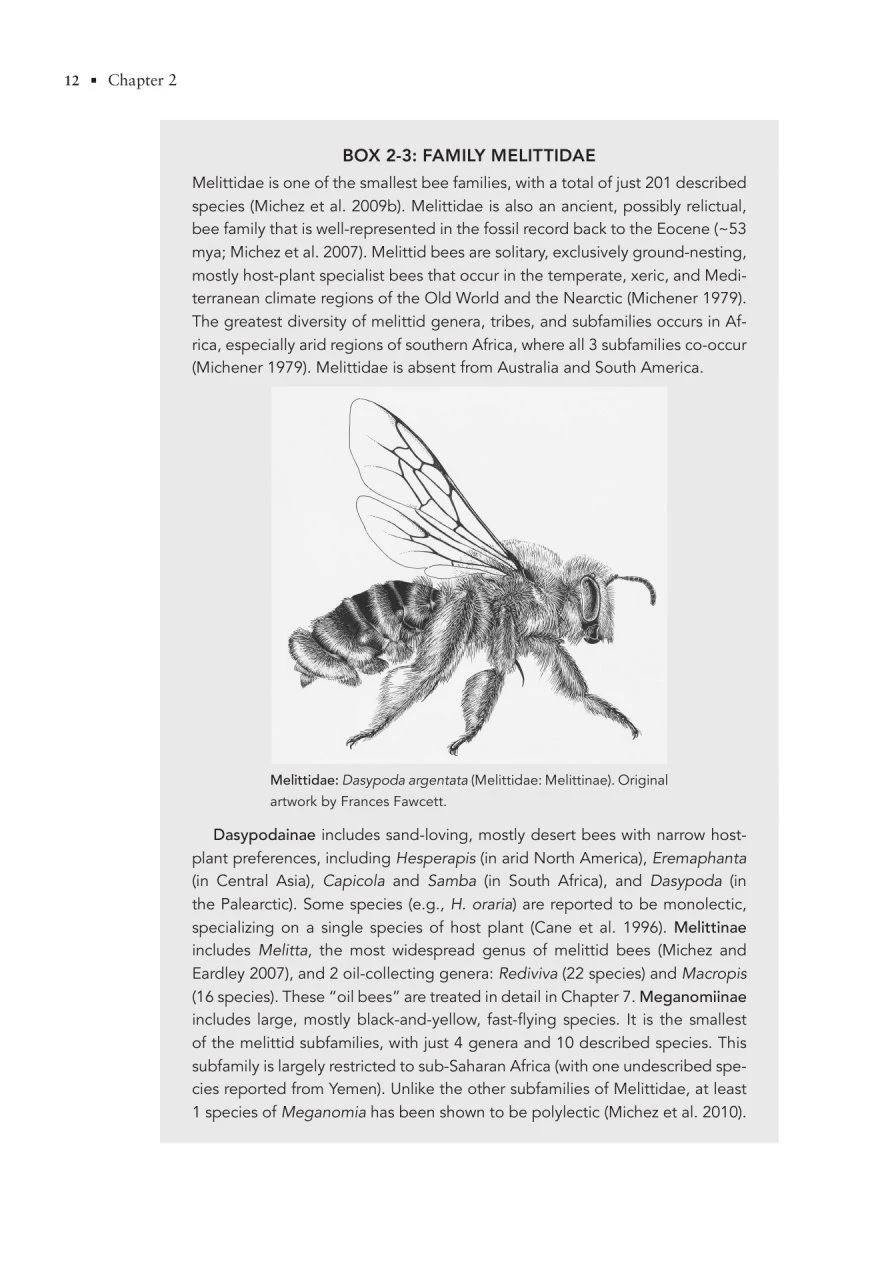 The Solitary Bees 8 The Solitary Bees - Image 6