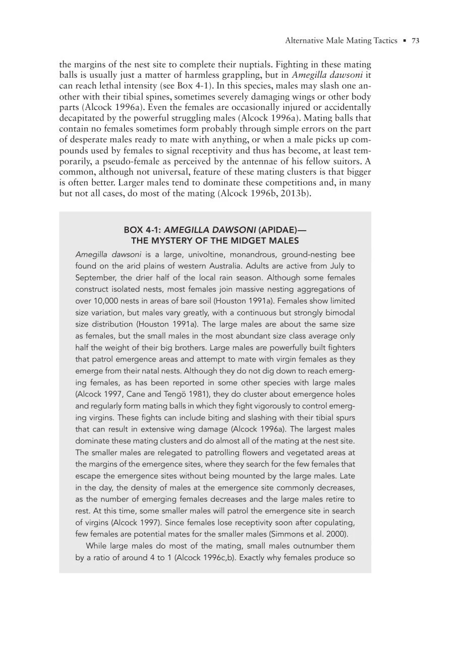 The Solitary Bees 13 The Solitary Bees - Image 11