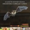 Is That A Bat? 2 Is That A Bat? -Wildlife Professional Books 245066