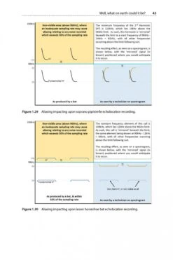 Is That A Bat? 15 Is That A Bat? -Wildlife Professional Books 245066 02