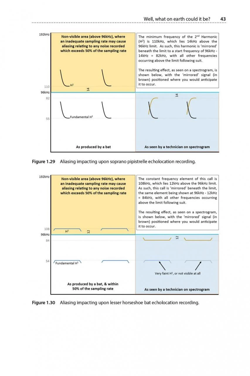 Is That A Bat? 5 Is That A Bat? - Image 3