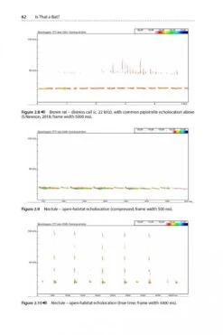 Is That A Bat? 16 Is That A Bat? -Wildlife Professional Books 245066 03