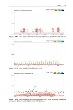 Is That A Bat? 18 Is That A Bat? -Wildlife Professional Books 245066 05