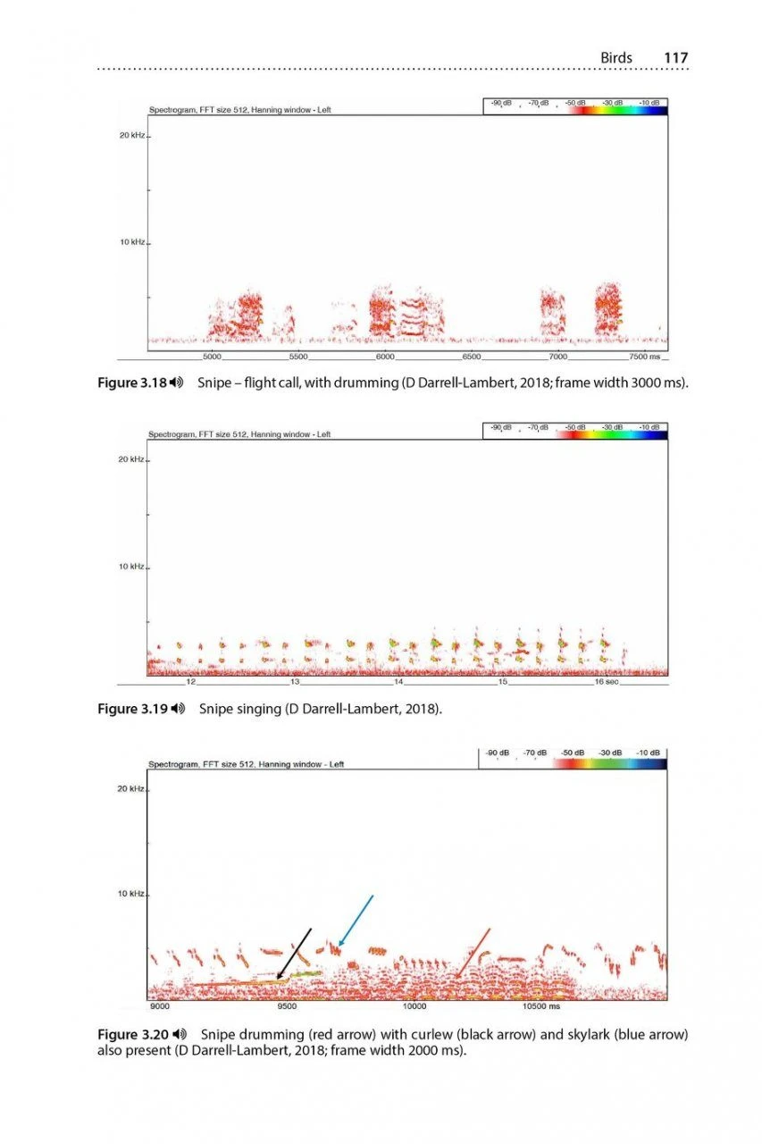 Is That A Bat? 8 Is That A Bat? - Image 6