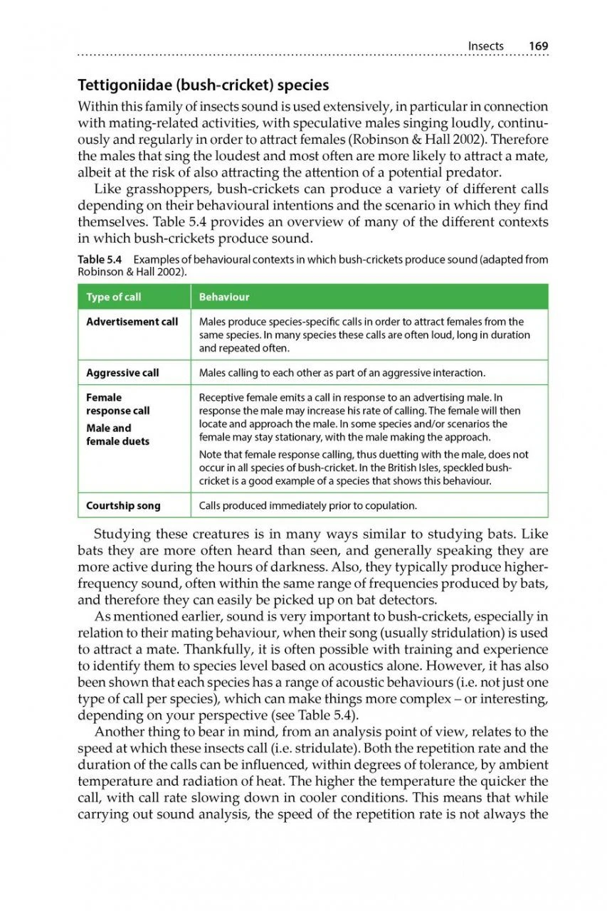 Is That A Bat? 10 Is That A Bat? - Image 8