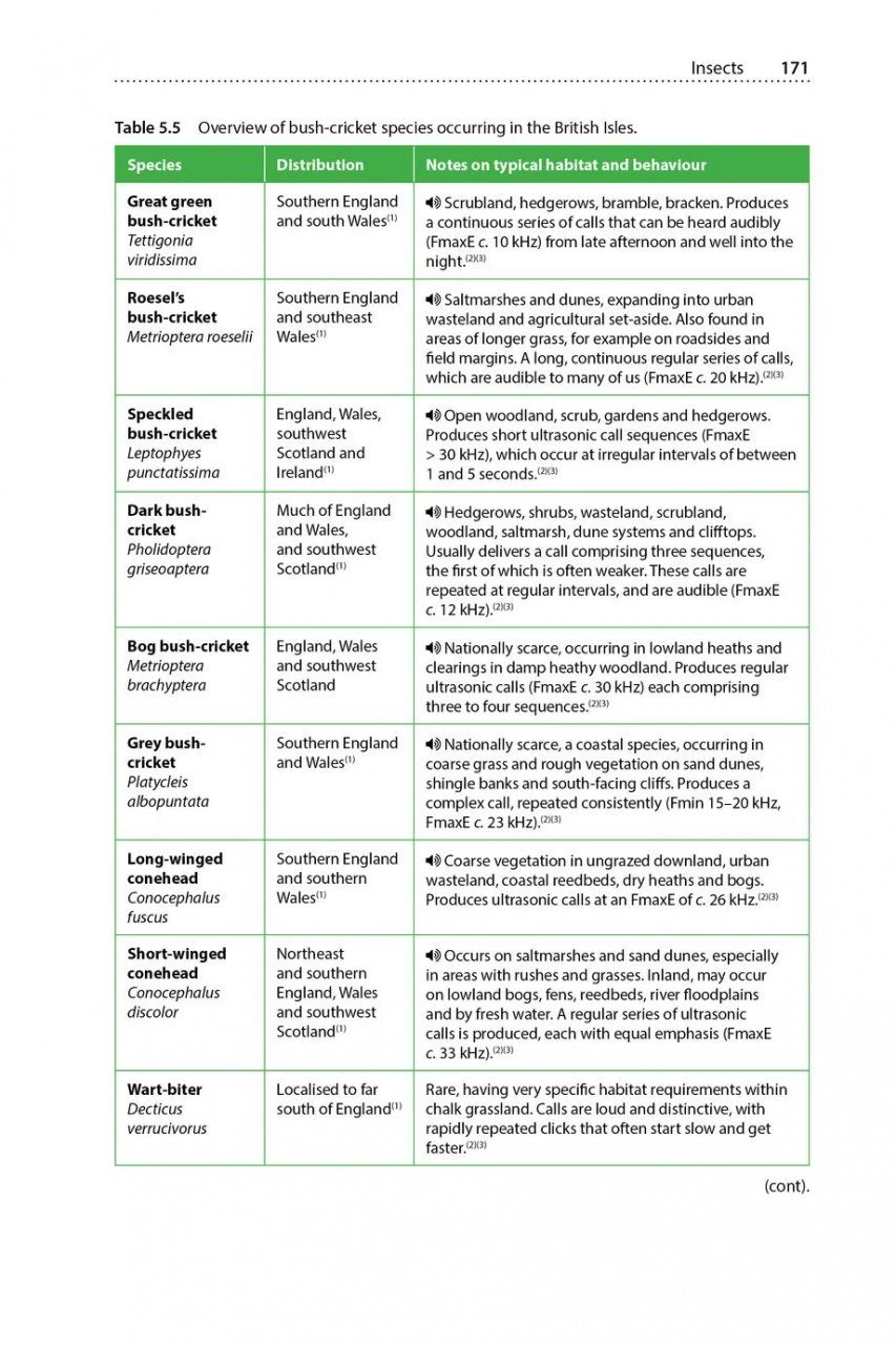 Is That A Bat? 11 Is That A Bat? - Image 9