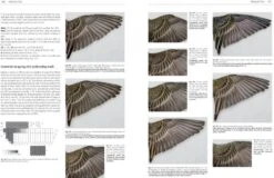 Moult And Ageing Of European Passerines 10 Moult And Ageing Of European Passerines -Wildlife Professional Books 245722 2