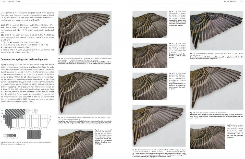 Moult And Ageing Of European Passerines 5 Moult And Ageing Of European Passerines - Image 3
