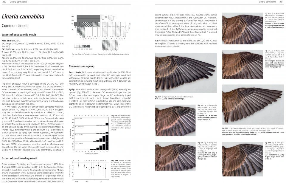 Moult And Ageing Of European Passerines 8 Moult And Ageing Of European Passerines - Image 6