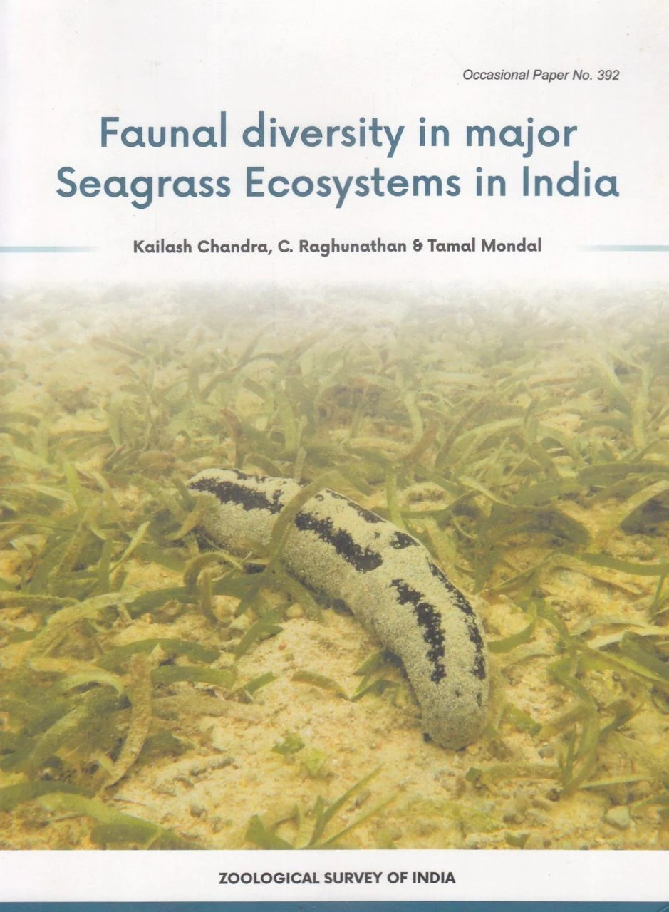 Faunal Diversity In Major Seagrass Ecosystems In India 3 Faunal Diversity In Major Seagrass Ecosystems In India
