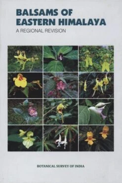 Balsams Of Eastern Himalaya