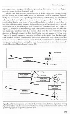 The Common Buzzard 13 The Common Buzzard -Wildlife Professional Books 247013 1
