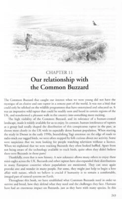The Common Buzzard 18 The Common Buzzard -Wildlife Professional Books 247013 6