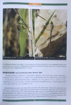 Dragonflies And Damselflies Of China (2-Volume Set) [English / Chinese] -Wildlife Professional Books 247219 1