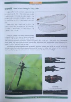 Dragonflies And Damselflies Of China (2-Volume Set) [English / Chinese] -Wildlife Professional Books 247219 2