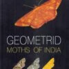 Geometrid Moths Of India -Wildlife Professional Books 247581