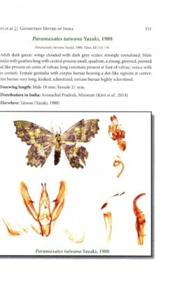 Geometrid Moths Of India -Wildlife Professional Books 247581 3