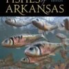 Fishes Of Arkansas 2 Fishes Of Arkansas -Wildlife Professional Books 247624